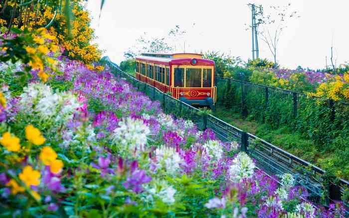 Du lịch miền Bắc, tour miền bắc, tour trong nước