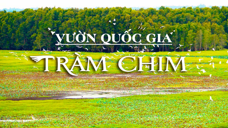 vườn quốc gia tràm chim đồng tháp