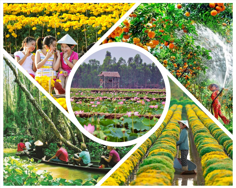 đồng tháp du lịch