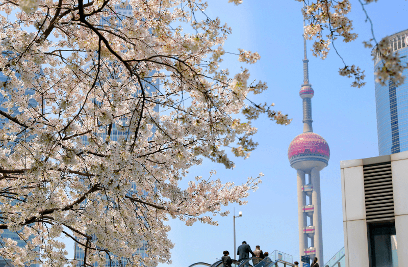 Mùa xuân Thượng Hải