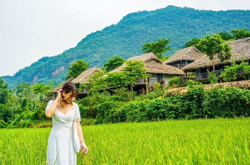 Du xuân Hòa Bình Mai Châu