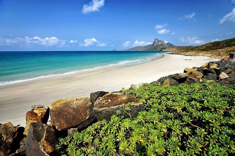 bãi nhát côn đảo