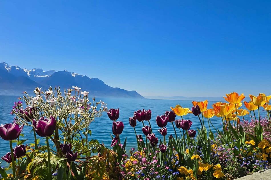 mùa xuân châu âu