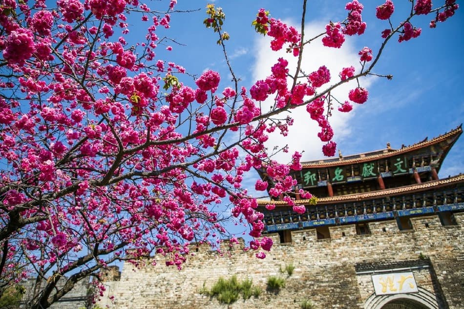 mùa xuân Trung Quốc