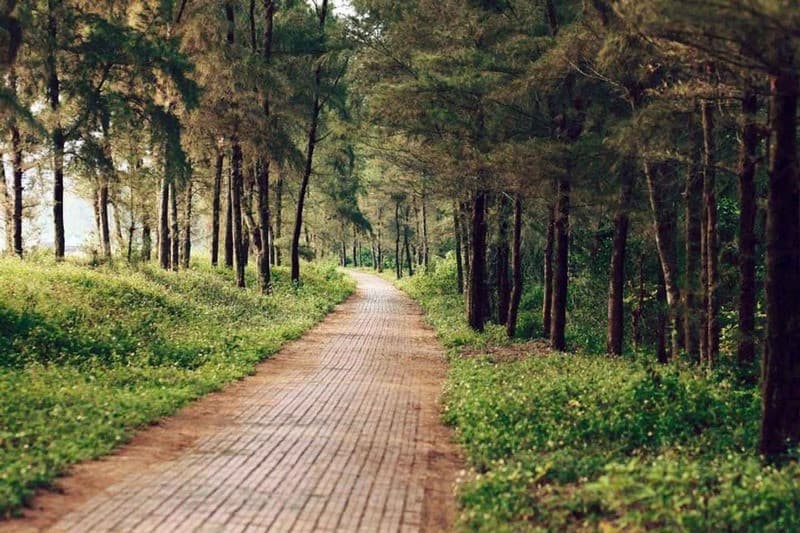 Khung cảnh lãng mạn trên đường tình yêu cô tô