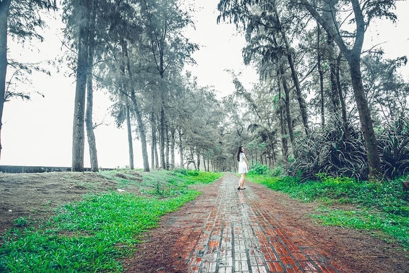 Lối đi lát gạch con đường tình yêu cô tô