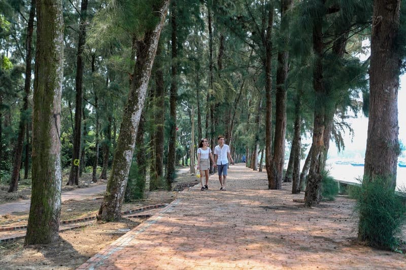 Con đường tình yêu cô tô vào mùa hè