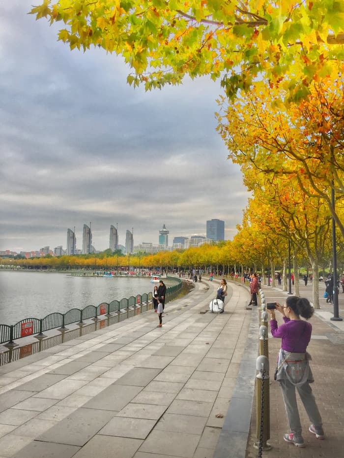 Du lịch Thượng Hải mùa thu