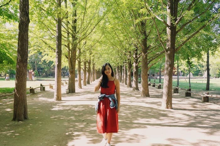 mùa hè trên đảo nami