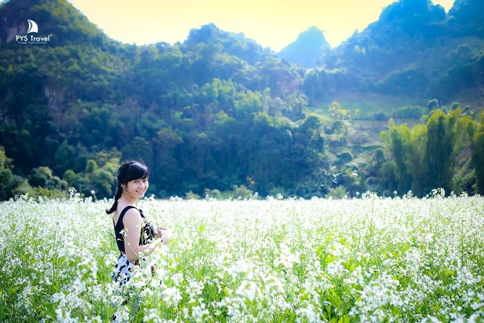 Tour Mộc Châu 3 ngày 3 đêm từ TP.HCM - Tết Dương Lịch 2026