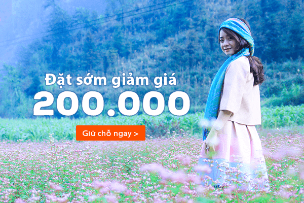 Tour Hà Giang mùa hoa tam giác mạch – Khám phá cao nguyên đá