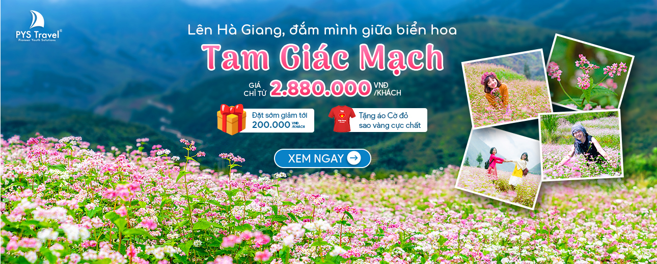 Tour Hà Giang mùa hoa Tam Giác Mạch 2025