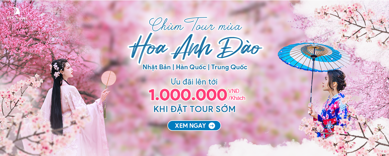 Tour ngắm hoa anh đào 2026