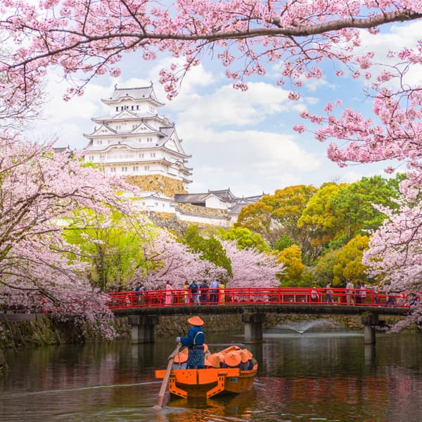 Tour Ngắm hoa Anh Đào
