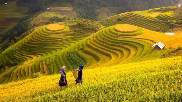 Điểm danh Top 6 ruộng bậc thang đẹp nhất Việt Nam